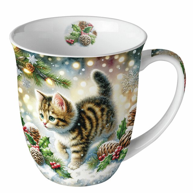 KRUS - CUTE CAT IN THE SNOW