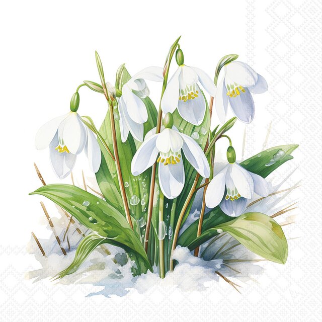 SERVIETTER - BLOOMING SNOWDROPS