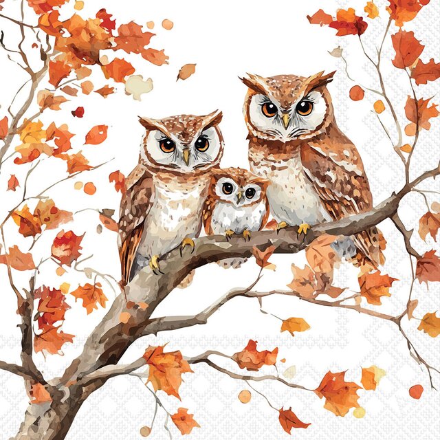 KAFFISERVIETTER - FAMILY OF OWLS