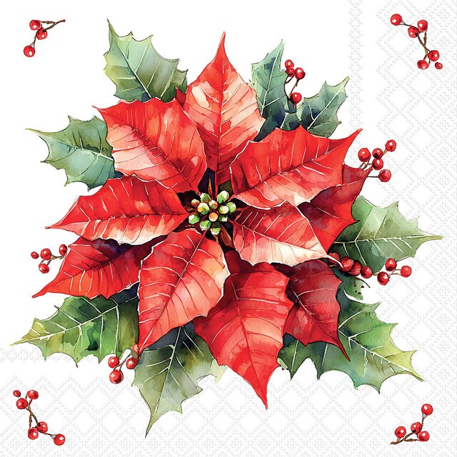 KAFFISERVIETTER - FESTIVE POINSETTIA WHITE