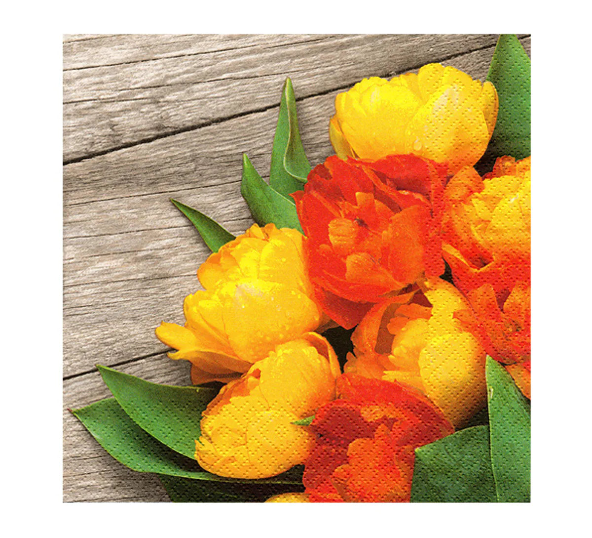 SERVIETTAR - TULIPANER