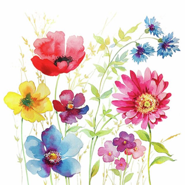 KAFFISERVIETTER - AQUARELL MEADOW