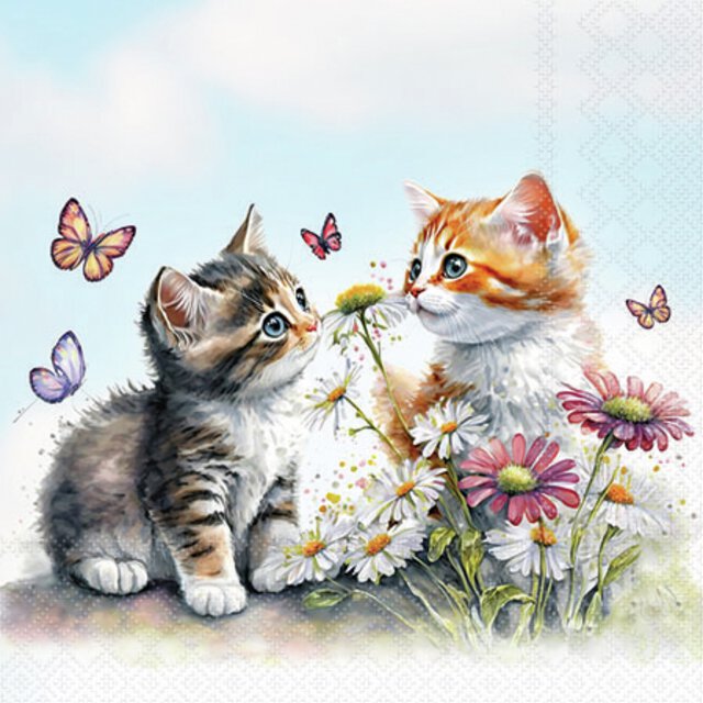 KAFFESERVIETTER - KITTENS IN FLOWER FIELD