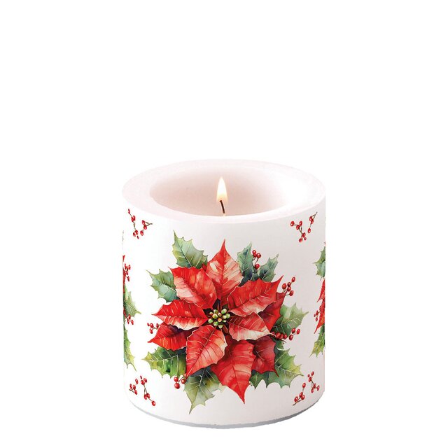 KUBBELYS - FESTIVE POINTSETTIA WHITE