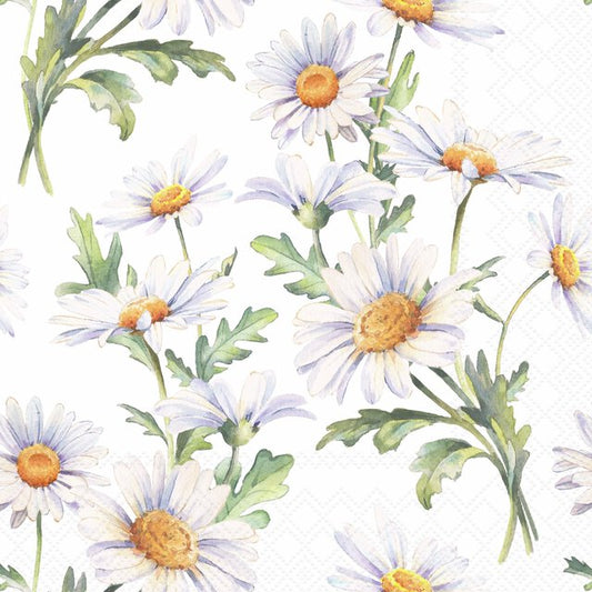 SERVIETTER - BEAUTIFUL DAISIES WHITE