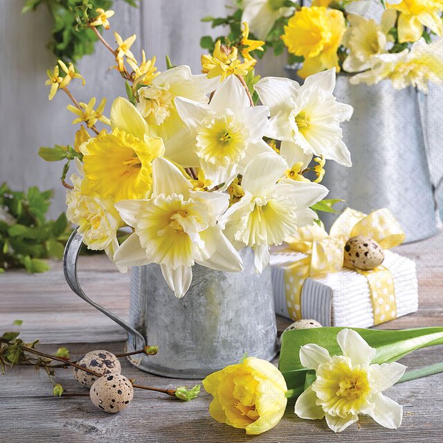 SERVIETTER - DAFFODILS IN POT