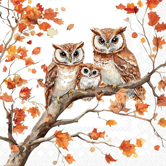 KAFFISERVIETTER - FAMILY OF OWLS