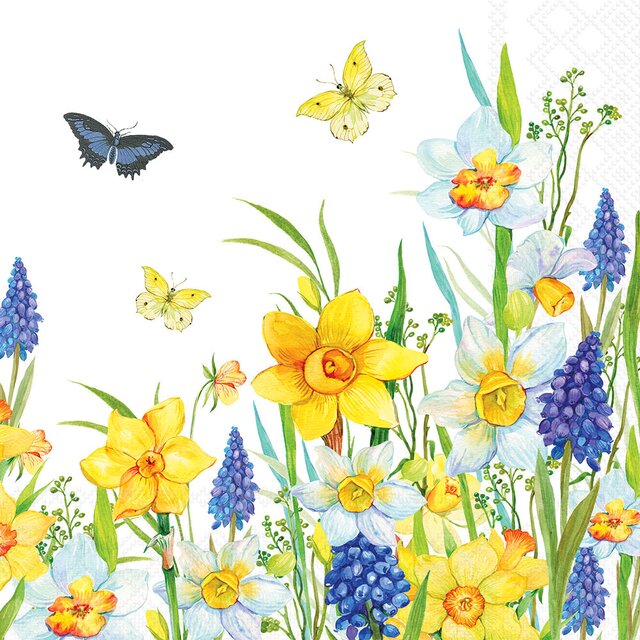 SERVIETTER - NARCIS AND MUSCARI